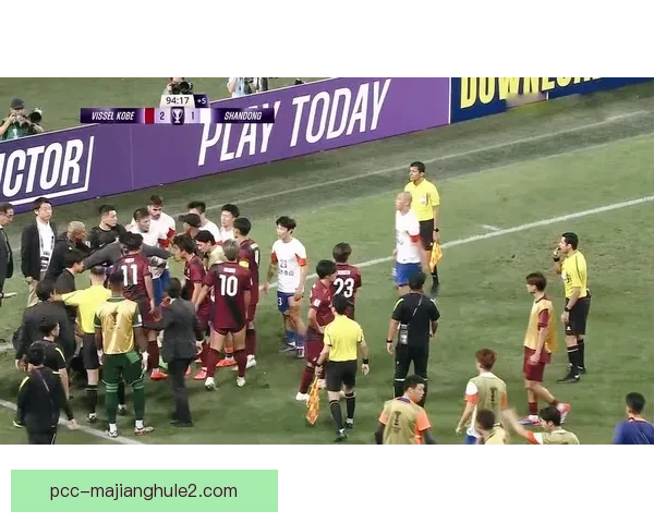 汉堡队以95比85战胜洛文不伦瑞克成功夺得胜利