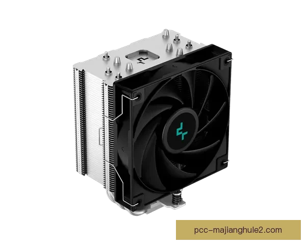 拉德尼基KG78-77KK动态解析与性能表现全面评测